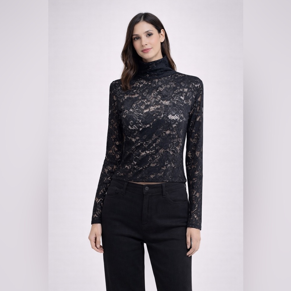 Womens Whimsigoth Sheer Black Lace Mock Neck Long Sleeve Fitted Stretch L Top